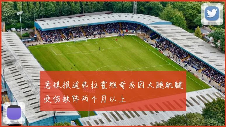 意媒报道弗拉霍维奇或因大腿肌腱受伤缺阵两个月以上
