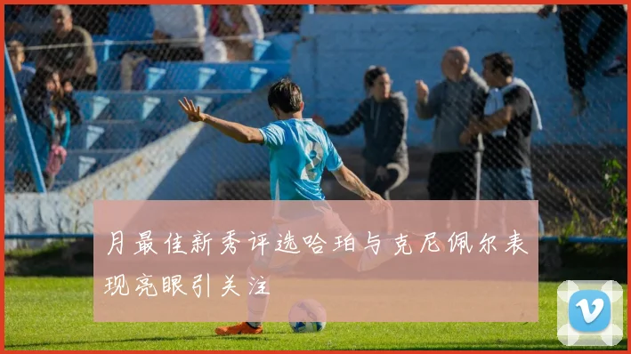 月最佳新秀评选哈珀与克尼佩尔表现亮眼引关注