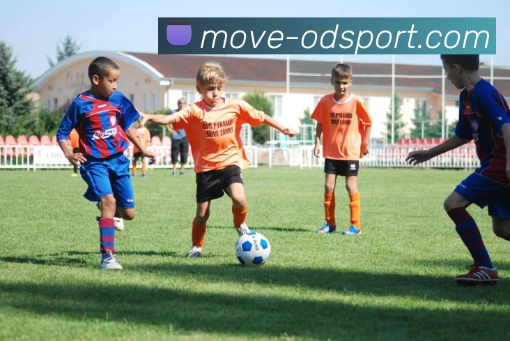 OD体育APP 封面图